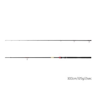 Въдица Delphin MURENA POWER 300см / 125г / 2 части