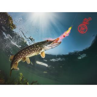 Спрей  Delphin STINX SPRAY/30ml мида / червен