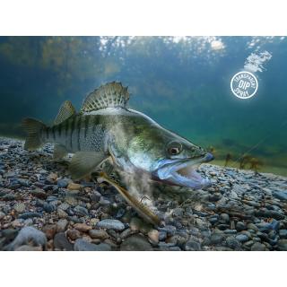 Спрей Delphin STINX SPRAY/30ml мида / прозрачен