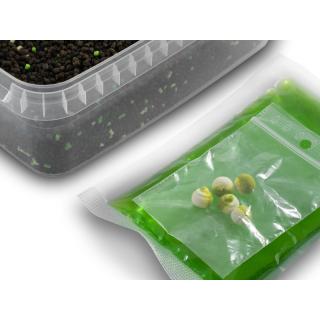 Пелети кутия Delphin Reaxe READY&GO / Чесън-Бутарик