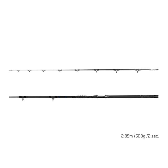 Въдица Delphin HAZARD Darx 255cm/500g/2 части Въдица Delphin HAZARD Darx 255cm/500g/2 части
