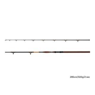Въдица Delphin SymbolCAT Bronze 285cm / 500g / 2 части