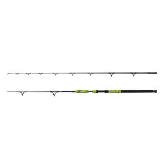Въдица Delphin WALHALA / 2 части 300cm/950g