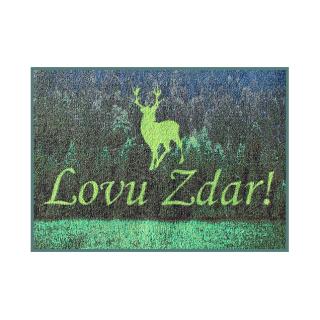 Стелка  3D lovu zdar rug - 60x40cm